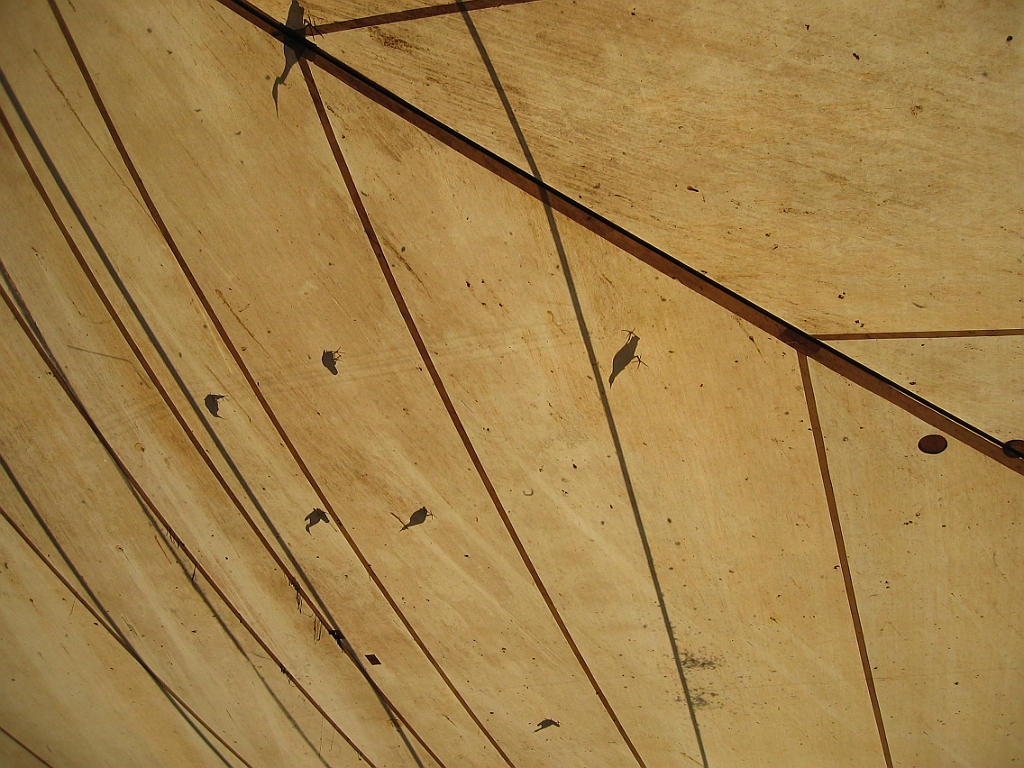 227 Wildlife Habitat Port Douglas.jpg